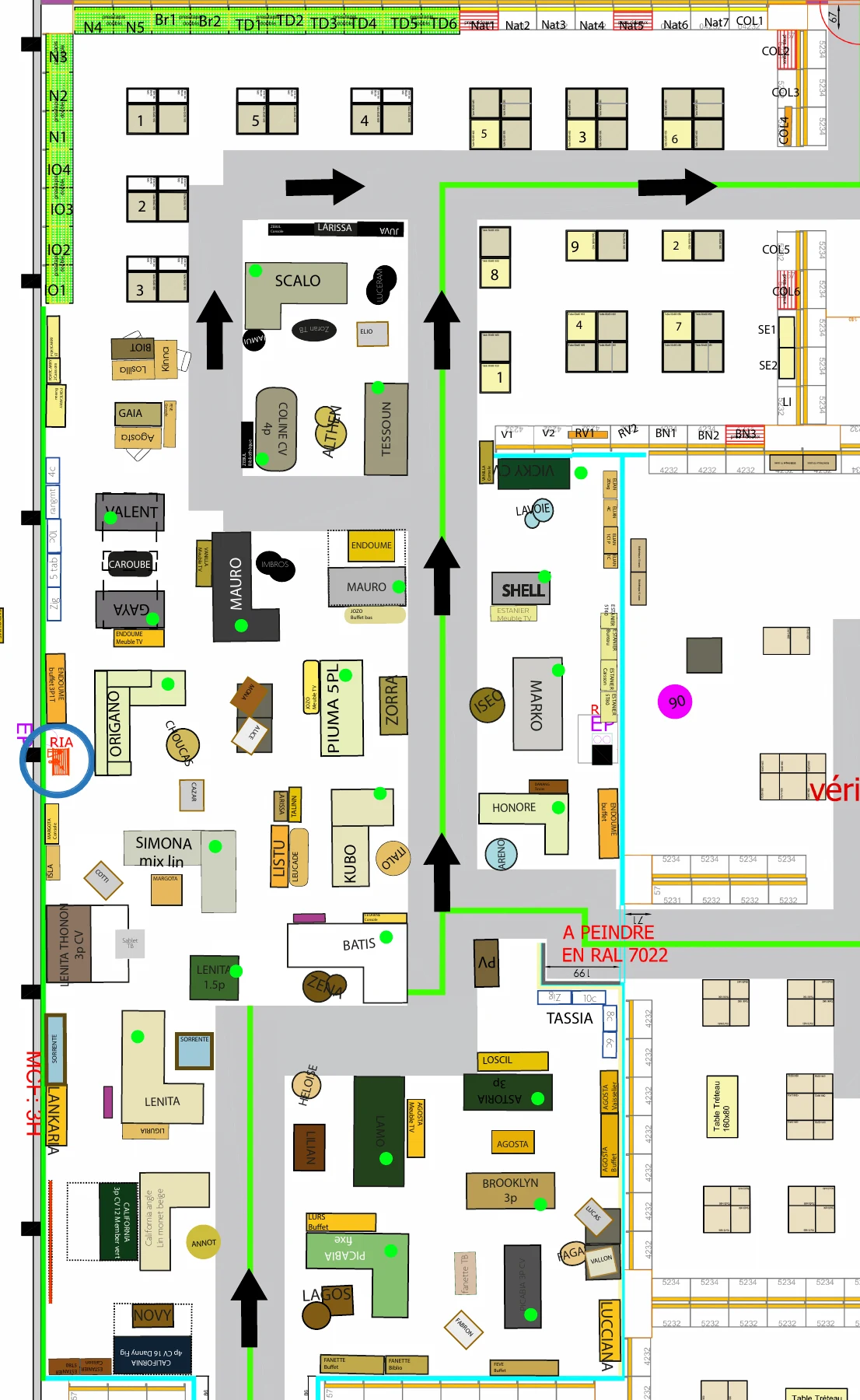Extrait de plan d’implantation d’un espace d’ameublement avec circulation et zones produits